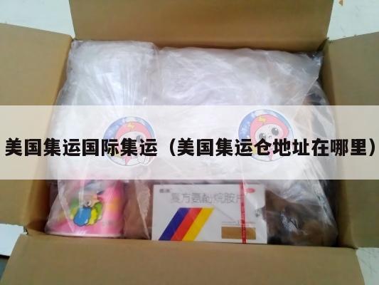 美国集运国际集运（美国集运仓地址在哪里）