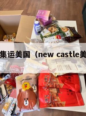 转运集运美国（new castle美国转运）