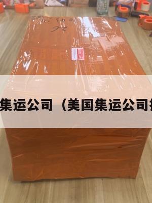 美国集运公司（美国集运公司推荐）