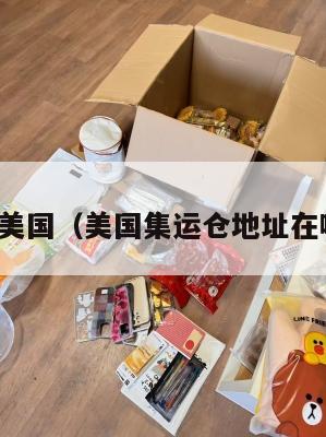 集运美国（美国集运仓地址在哪里）