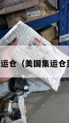 美国集运仓（美国集运仓到香港）