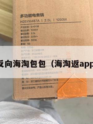 反向海淘包包（海淘返app）