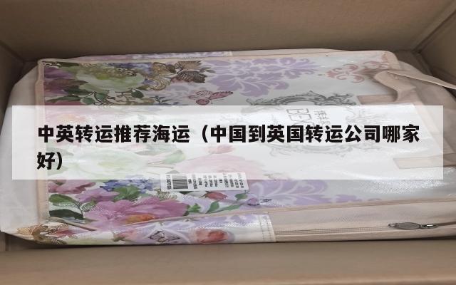 中英转运推荐海运（中国到英国转运公司哪家好）