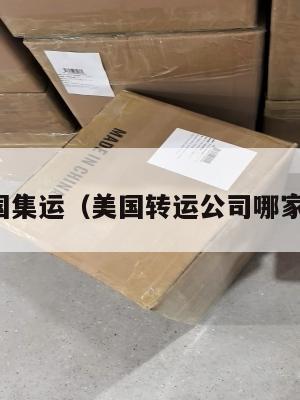 美国集运（美国转运公司哪家好）