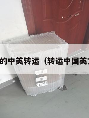 靠谱的中英转运（转运中国英文名）