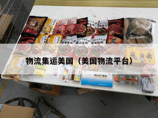物流集运美国（美国物流平台）
