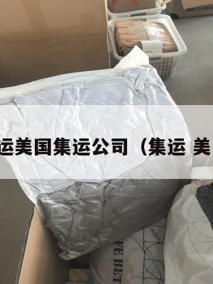集运美国集运公司（集运 美国）