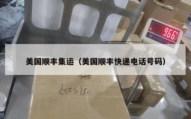 美国顺丰集运（美国顺丰快递电话号码）