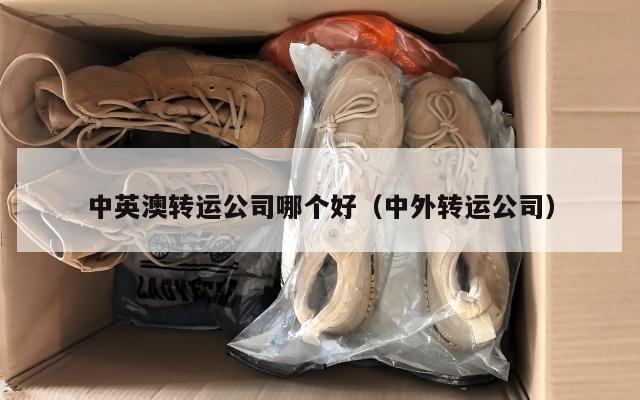 中英澳转运公司哪个好（中外转运公司）