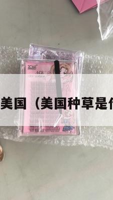 种草集运美国（美国种草是什么工作）