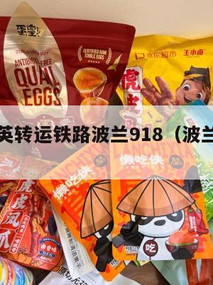 ems中英转运铁路波兰918（波兰快递到中国）
