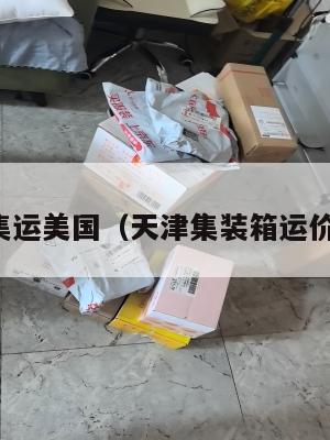 天津集运美国（天津集装箱运价指数）
