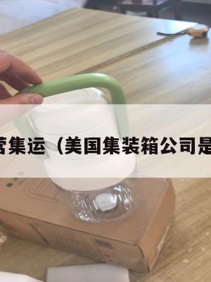 美国经营集运（美国集装箱公司是干嘛的）