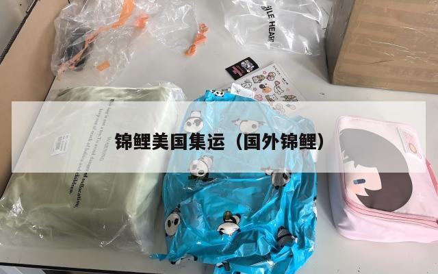 锦鲤美国集运（国外锦鲤）
