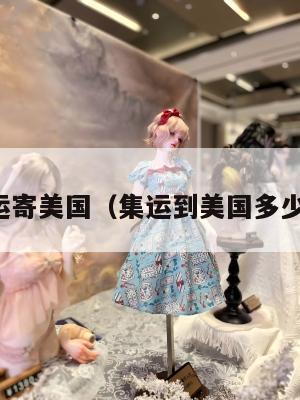 集运寄美国（集运到美国多少钱）