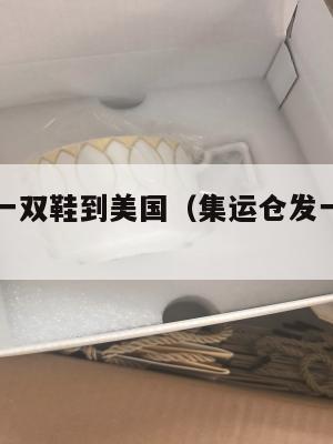 集运仓发一双鞋到美国（集运仓发一双鞋到美国多少钱）