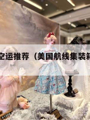 美国集运空运推荐（美国航线集装箱海运价格暴涨）