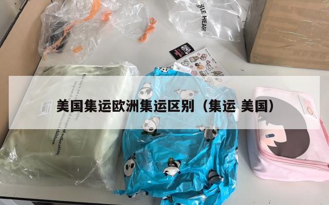 美国集运欧洲集运区别（集运 美国）