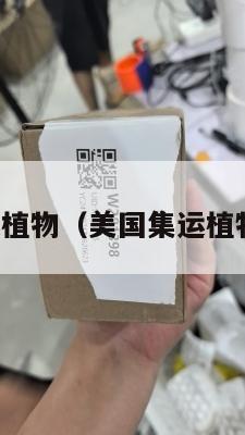 美国集运植物（美国集运植物有哪些）