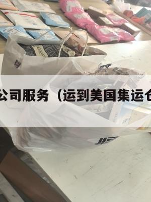 美国集运公司服务（运到美国集运仓怎么联系）