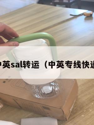 中英sal转运（中英专线快递）