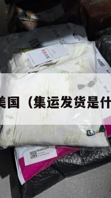 集运发美国（集运发货是什么意思）