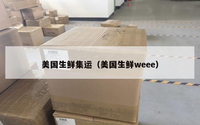 美国生鲜集运（美国生鲜weee）