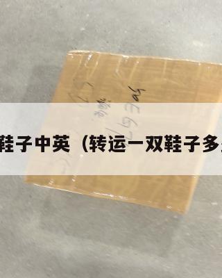 转运鞋子中英（转运一双鞋子多少钱）