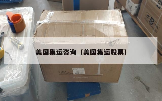 美国集运咨询（美国集运股票）