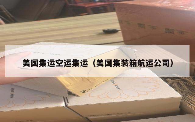 美国集运空运集运（美国集装箱航运公司）