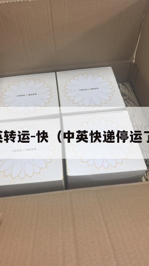 中英转运-快（中英快递停运了吗）