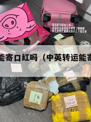 中英转运能寄口红吗（中英转运能寄口红吗现在）