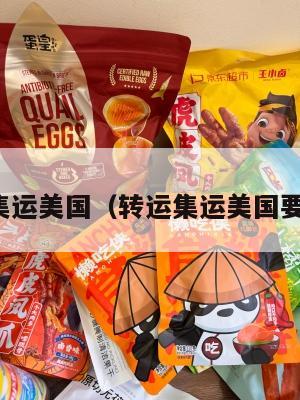 转运集运美国（转运集运美国要多久）