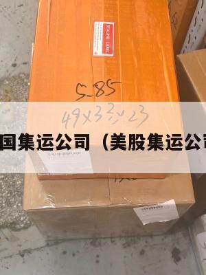 美国集运公司（美股集运公司）