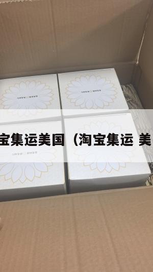 淘宝集运美国（淘宝集运 美国）
