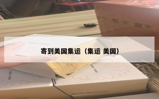 寄到美国集运（集运 美国）