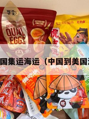 中国到美国集运海运（中国到美国海运快递）