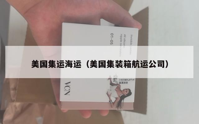 美国集运海运（美国集装箱航运公司）