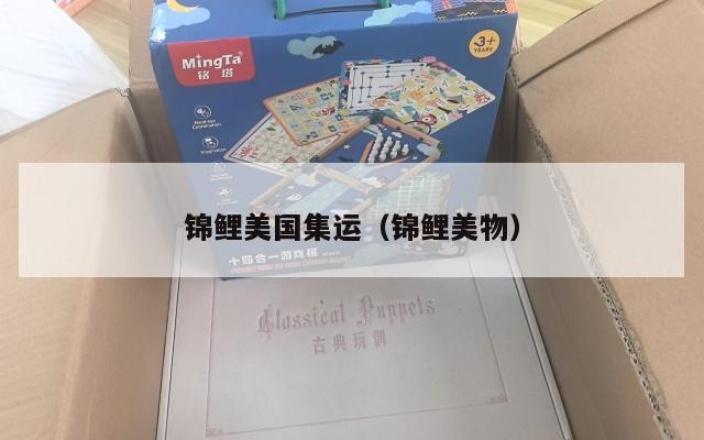 锦鲤美国集运（锦鲤美物）