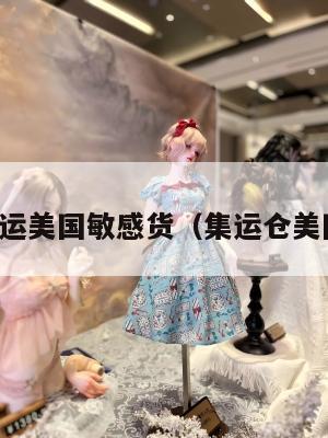 集运美国敏感货（集运仓美国）