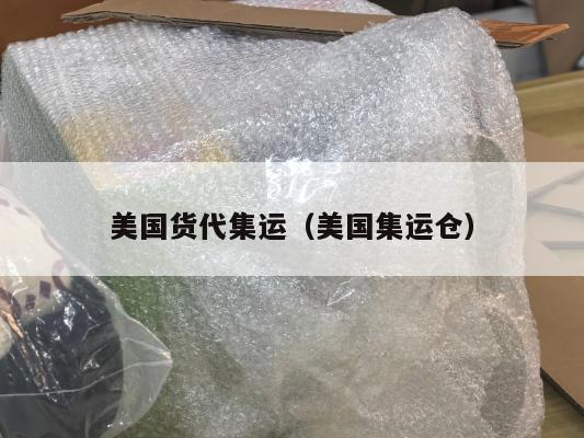 美国货代集运（美国集运仓）