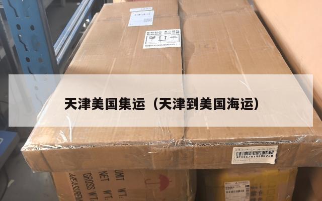 天津美国集运（天津到美国海运）