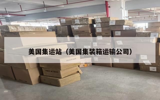 美国集运站（美国集装箱运输公司）