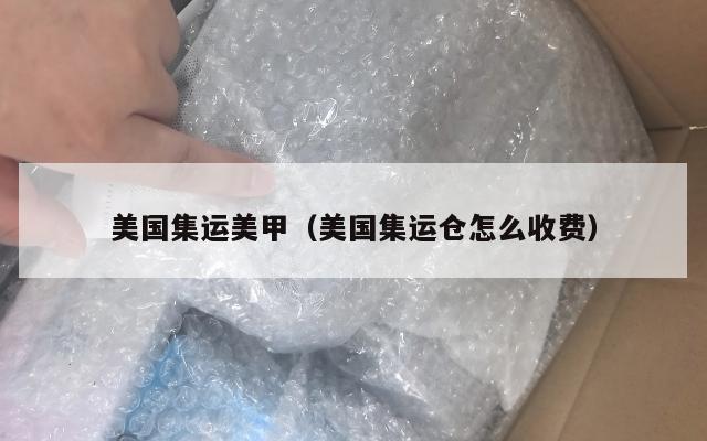 美国集运美甲（美国集运仓怎么收费）