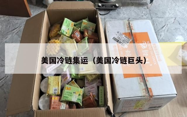美国冷链集运（美国冷链巨头）