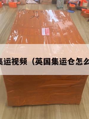 英国集运视频（英国集运仓怎么收费）
