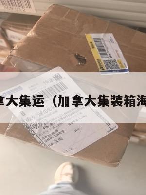 英国加拿大集运（加拿大集装箱海运价格）
