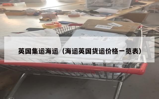 英国集运海运（海运英国货运价格一览表）