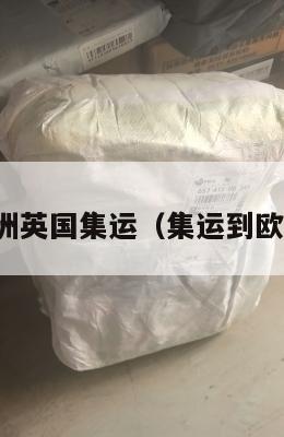 欧洲英国集运（集运到欧洲）