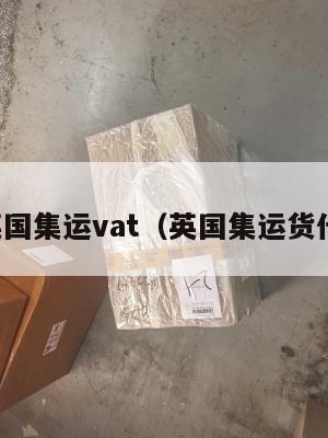 英国集运vat（英国集运货代）